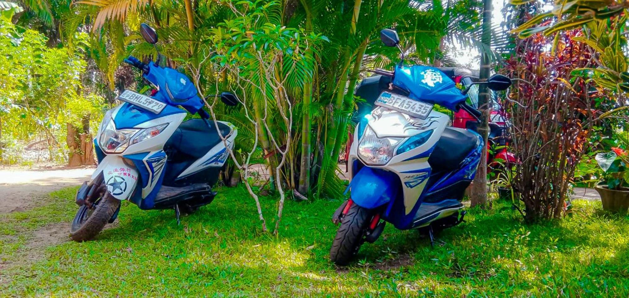 Sigiri Sandilu Homestay Σιγκιρίγια Εξωτερικό φωτογραφία